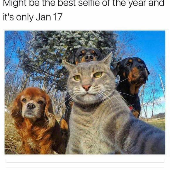 Meet your Posher, Jason - Picture 1 of 1